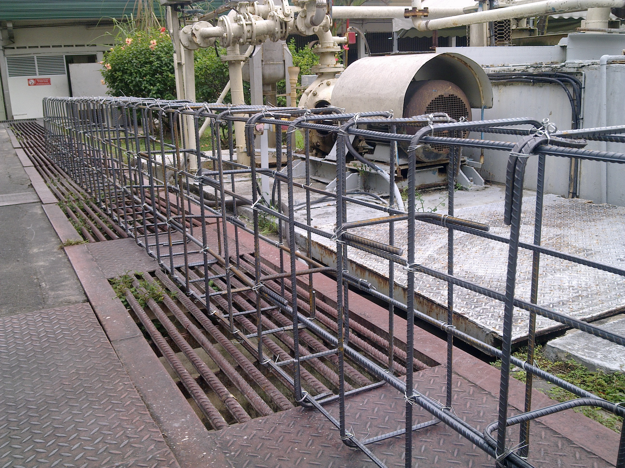 lorem ipsum dolor sit