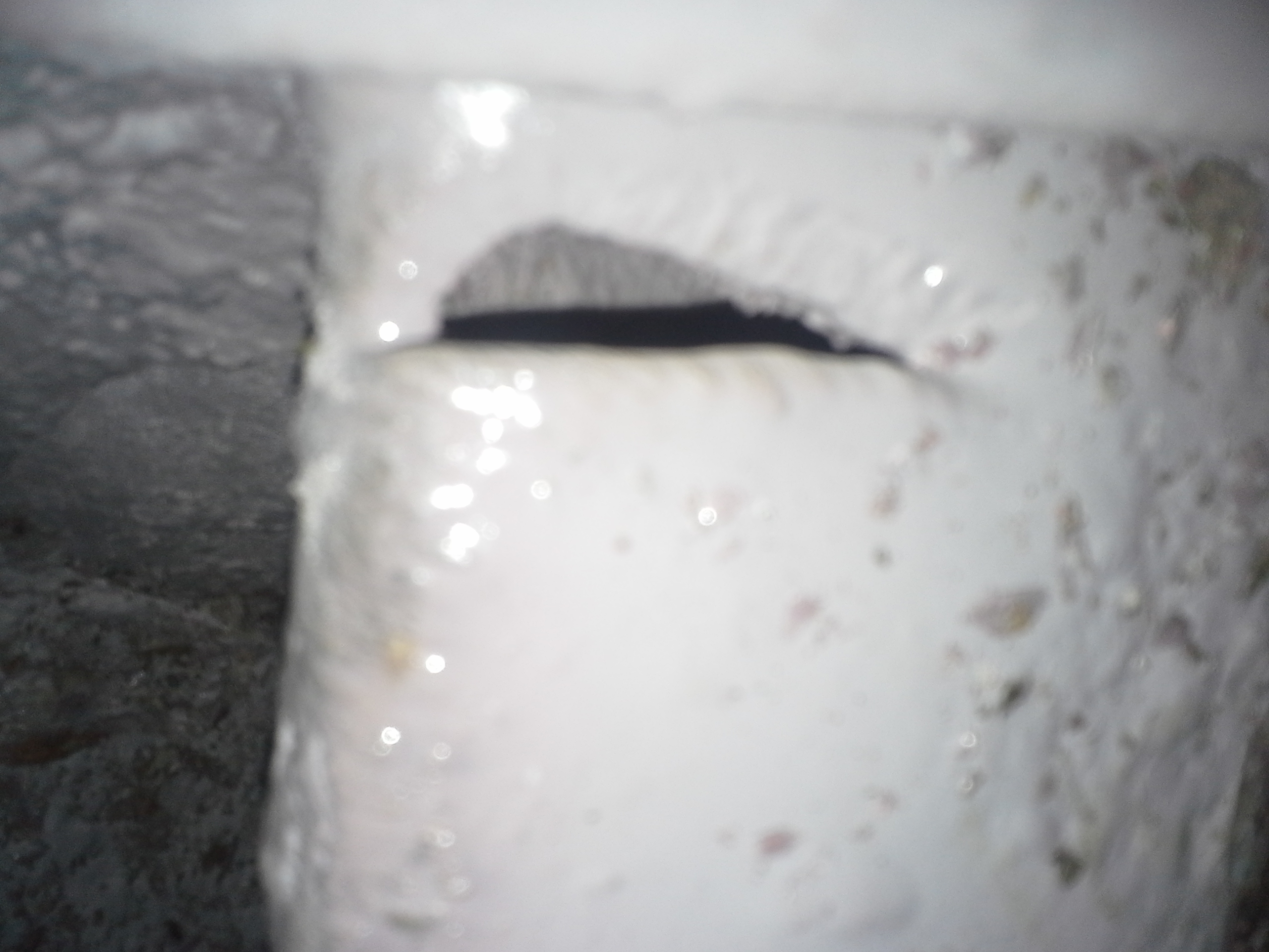 lorem ipsum dolor sit