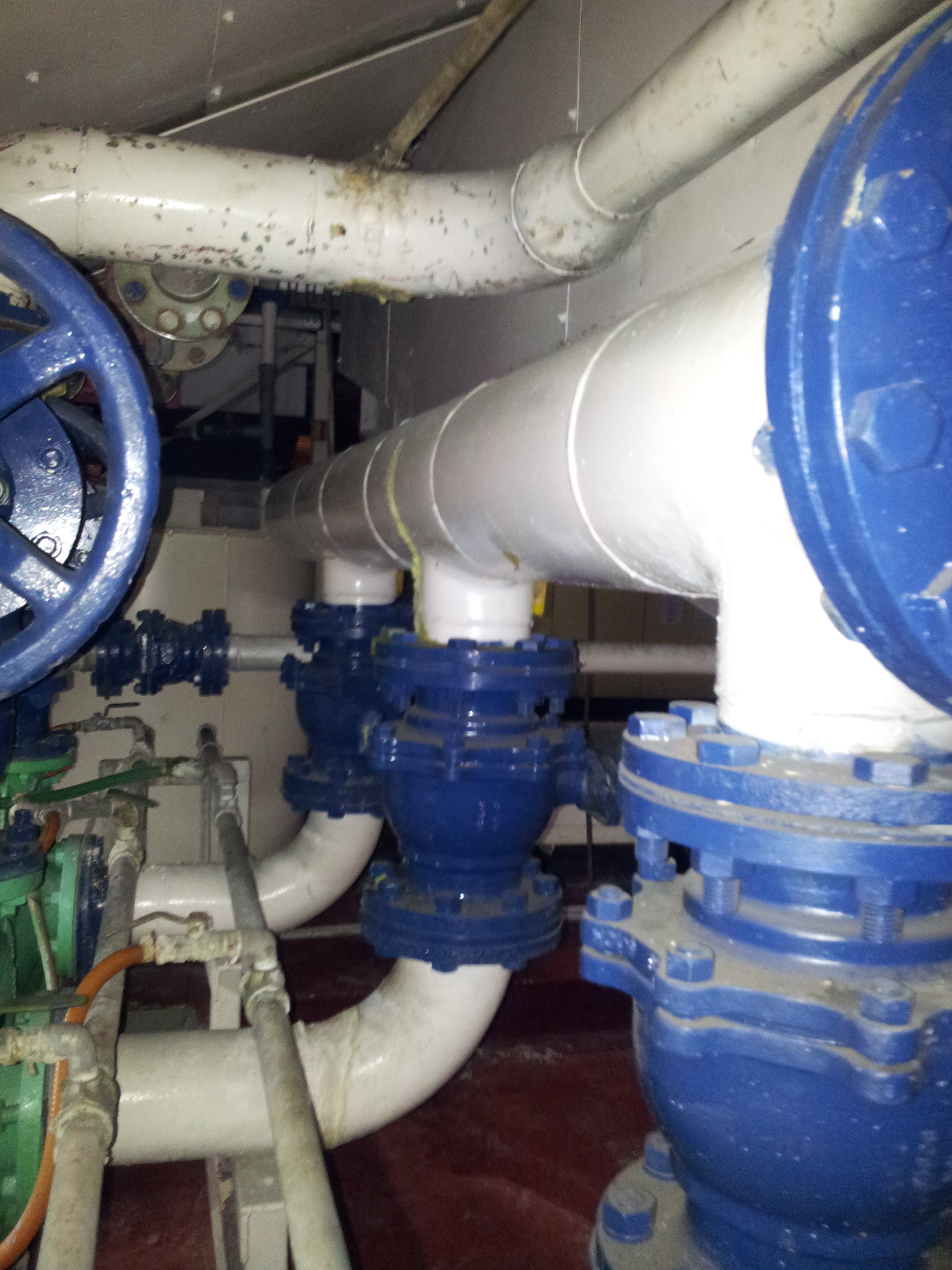 lorem ipsum dolor sit