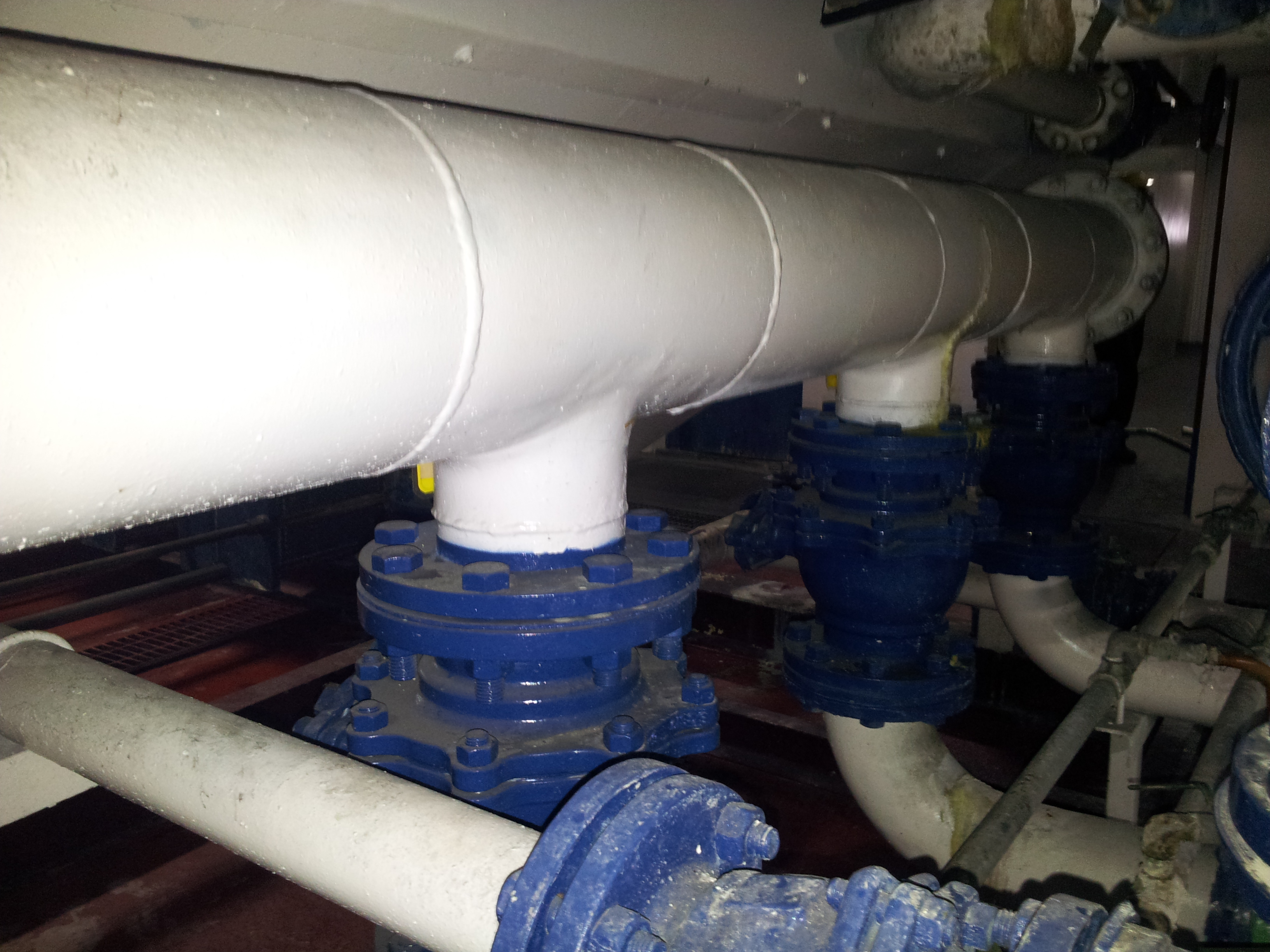 lorem ipsum dolor sit