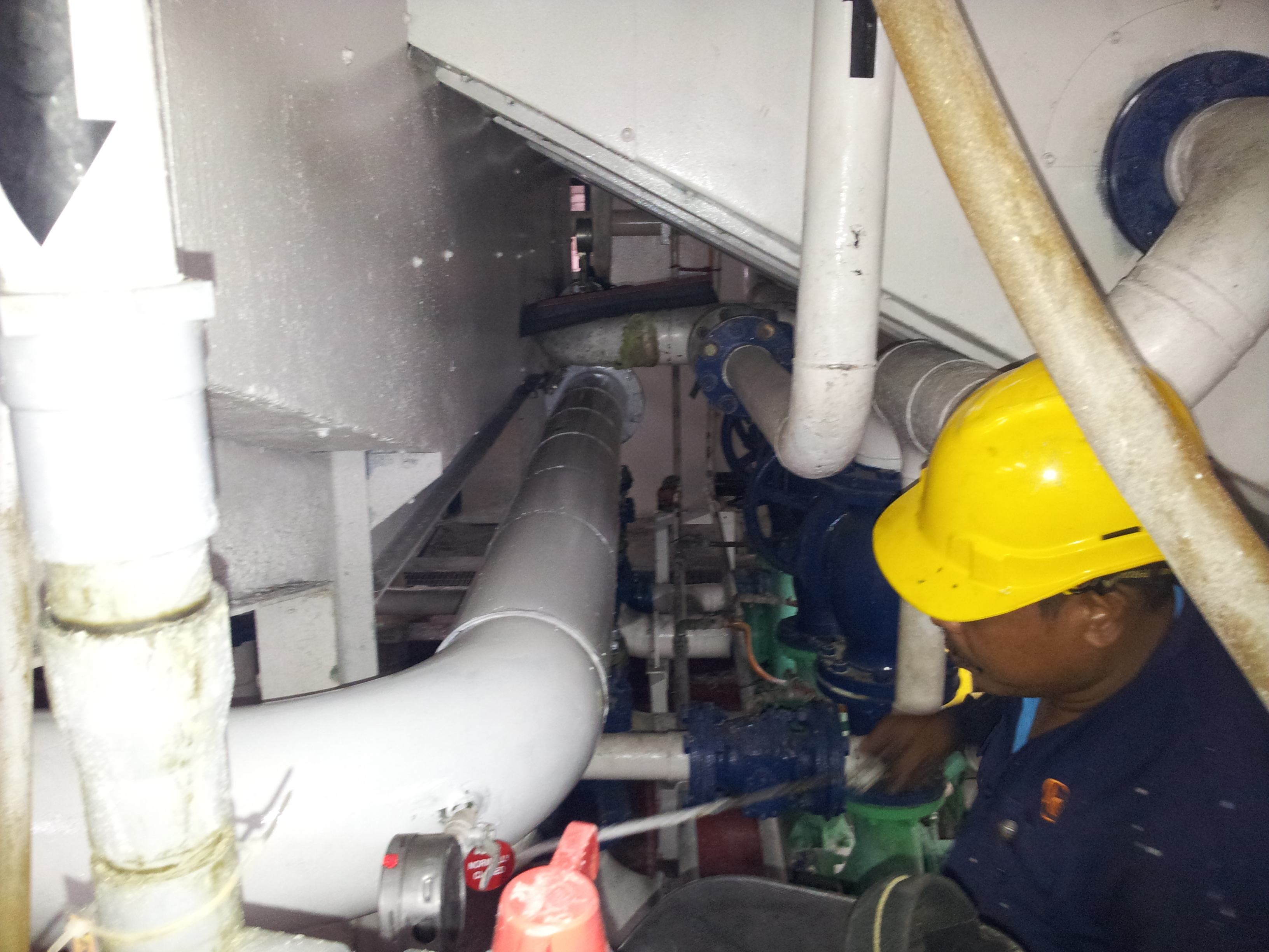 lorem ipsum dolor sit