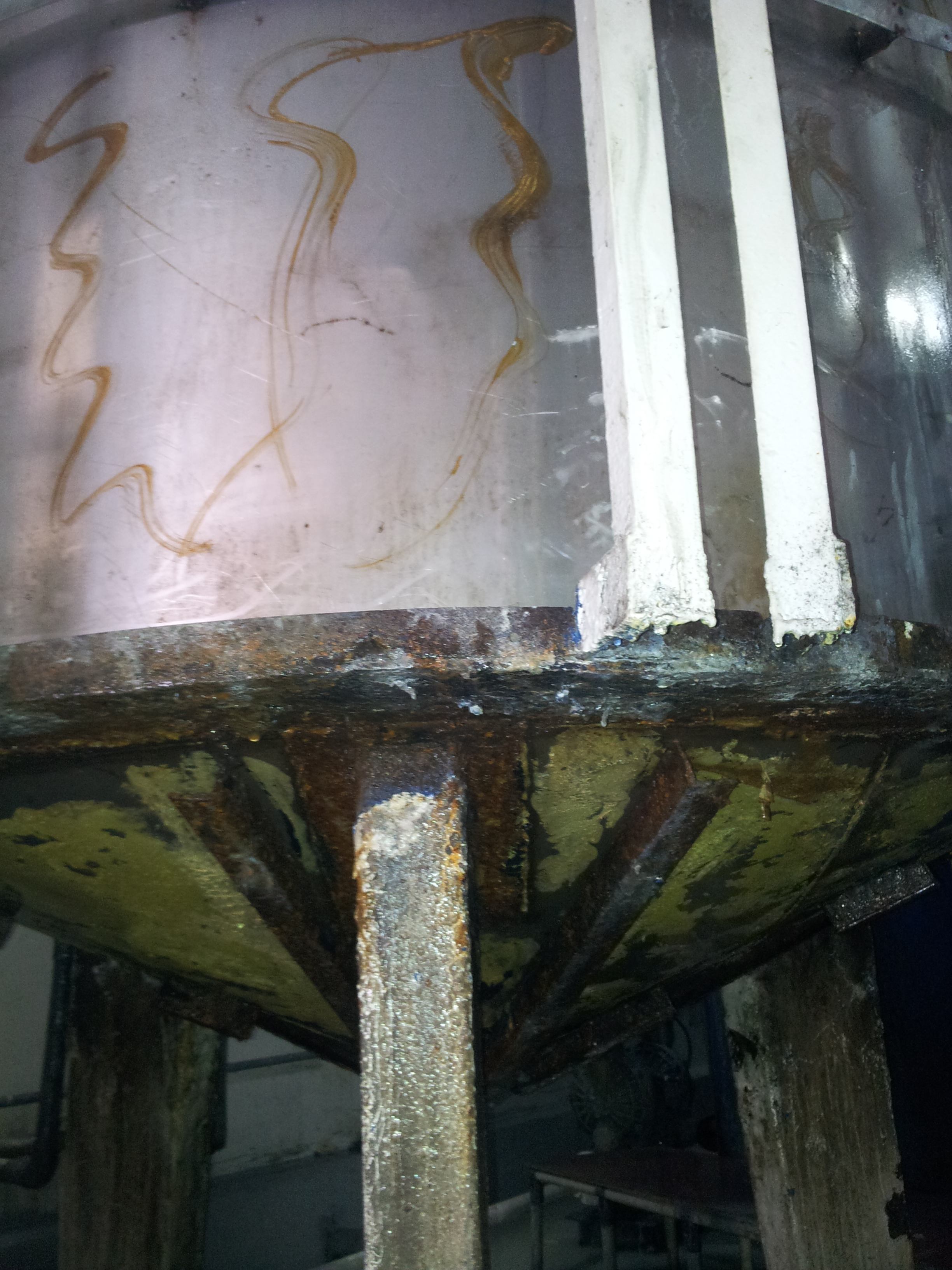 lorem ipsum dolor sit