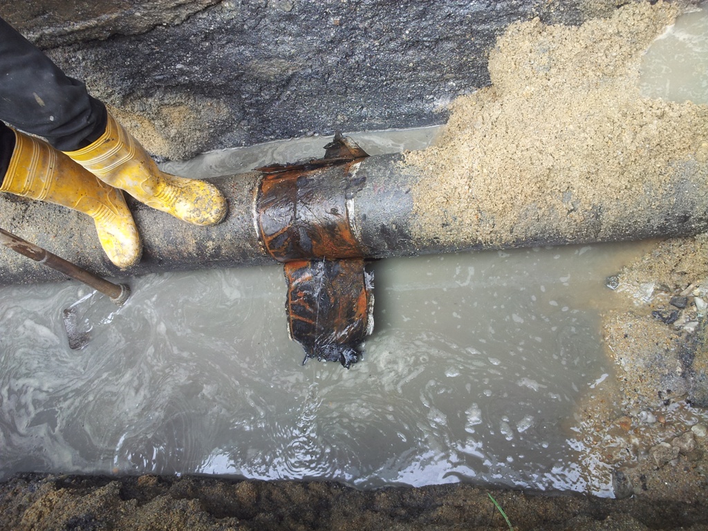 lorem ipsum dolor sit