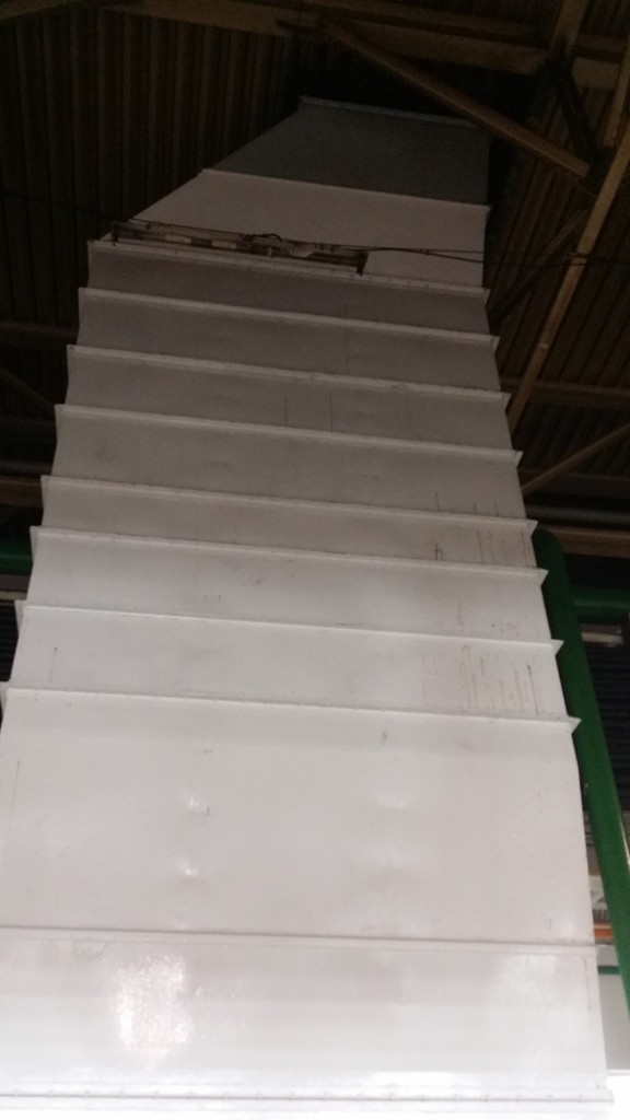 lorem ipsum dolor sit