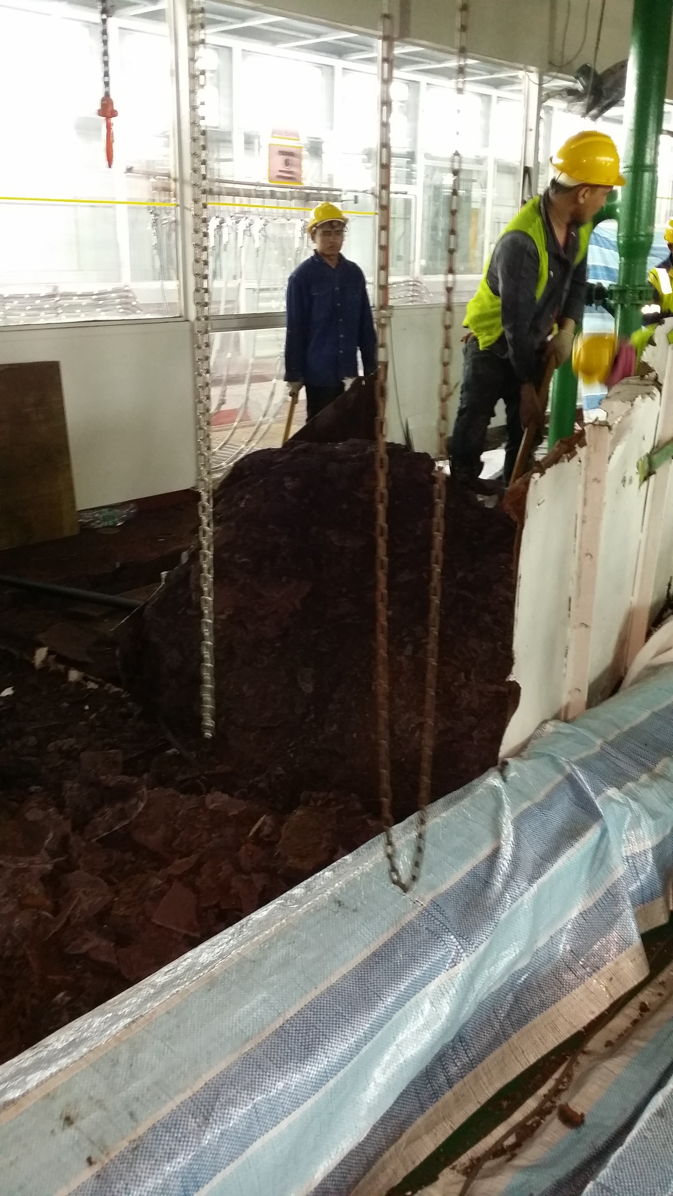 lorem ipsum dolor sit